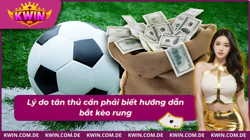 Tầm quan trọng của hướng dẫn bắt kèo rung