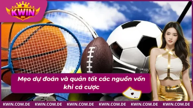 Thể thao Kwin và mẹo đánh cược tốt được nhiều người sử dụng 